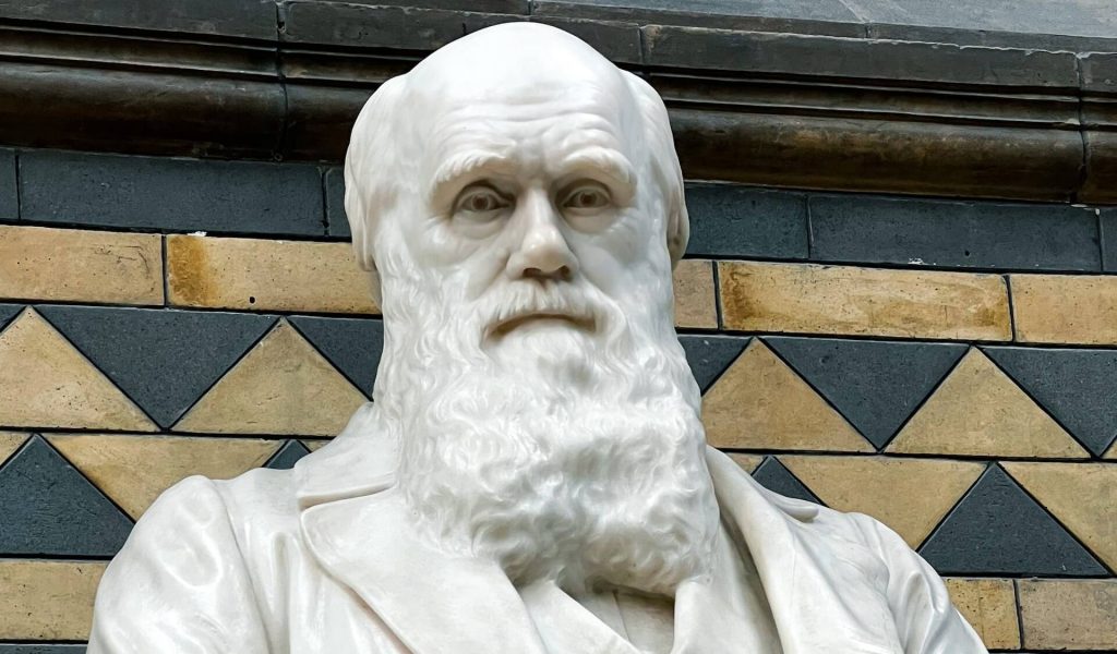 Statue of Darwin, the renowned naturalist, holding a book and observing nature.